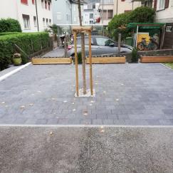 Gartenbau 5