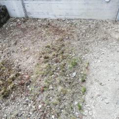 Gartenbau 8