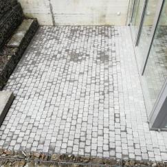 Gartenbau 9