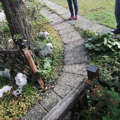 Gartenbau 10