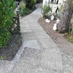 Gartenbau 11