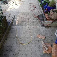 Gartenbau 12