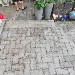 Gartenbau 13